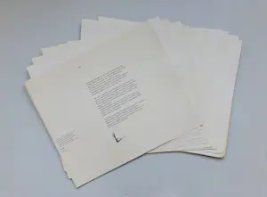 Melle Oldeboerrigter - Portfolio met 14 litho's kopen? Bied vanaf 75!