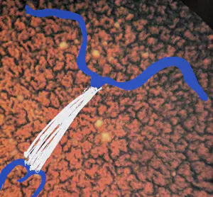 Marina Abramovic - handgesigneerde zeefdruk | 'Zonder titel' | 1991 kopen? Bied vanaf 250!