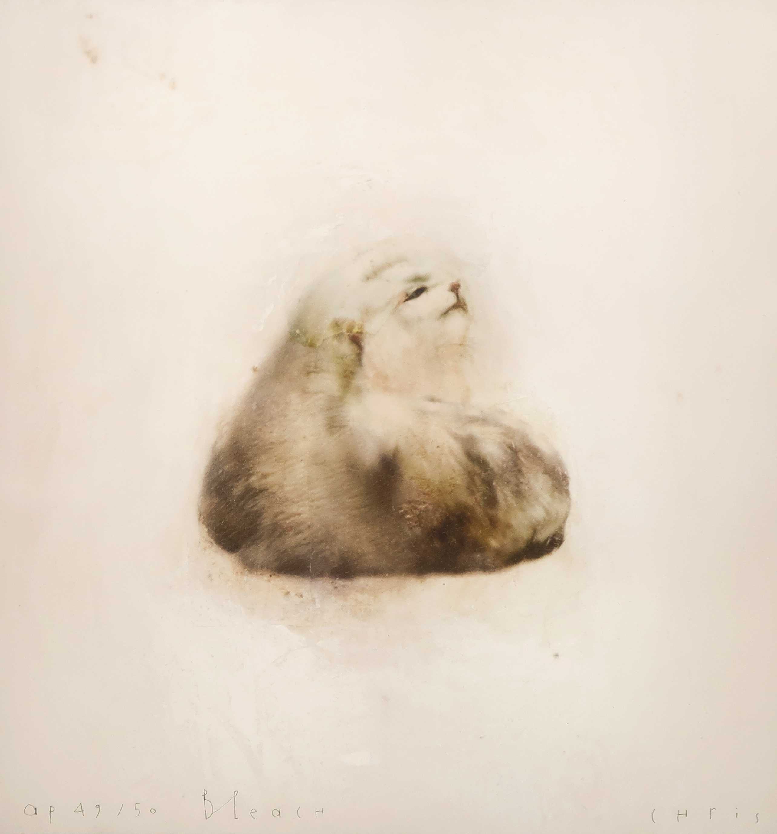 Chris Berens - Gicleedruk, Bleach verkocht voor € 150!