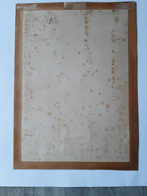 Felicien Rops - Ets, Vrouw in de stoel uit 1876 kopen? Bied vanaf 30!