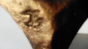 Jos Gielen - Verbondenheid kopen? Bied vanaf 69!