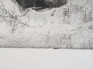 Jan Prins - Prachtige Ets - Gesigneerd in potlood kopen? Bied vanaf 1!