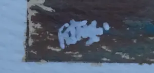 Franklin Meijer - Waddenkust kopen? Bied vanaf 35!