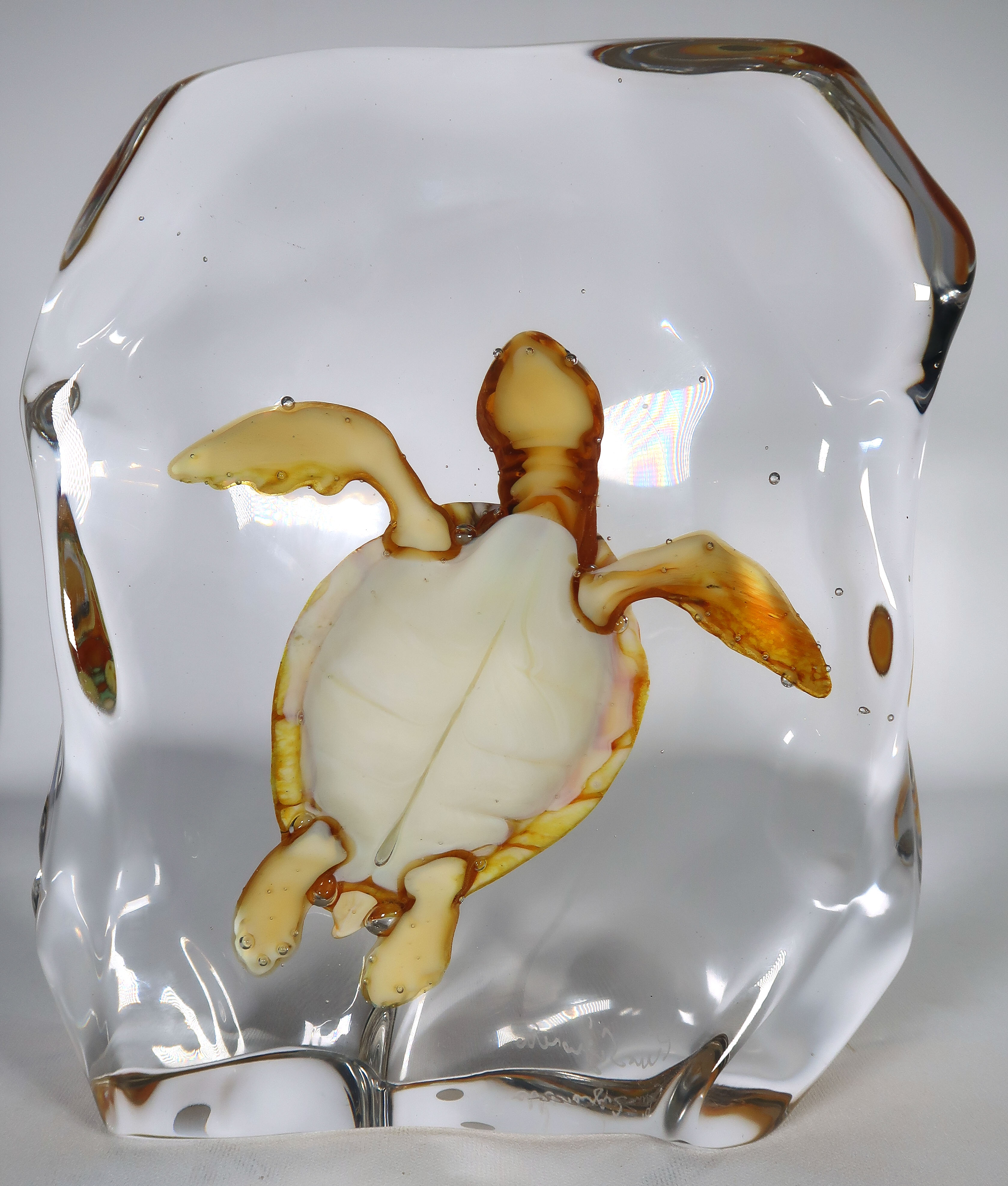 Pino Signoretto - Glas unica, Handgevormde schildpad omsloten door glas (Zwaar) kopen? Bied vanaf 1000!