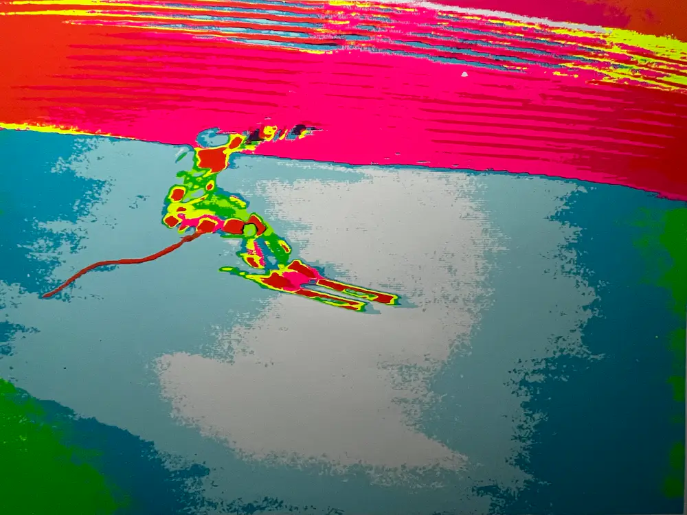 Henk van der Vet (1939)