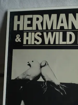 Herman Brood - Affiche , Herman Brood & His Wild Romance – 1988 – Coach Agency kopen? Bied vanaf 1!