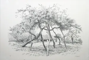 Patrick Creyghton - Litho, Gestutte boom - Ingelijst kopen? Bied vanaf 1!