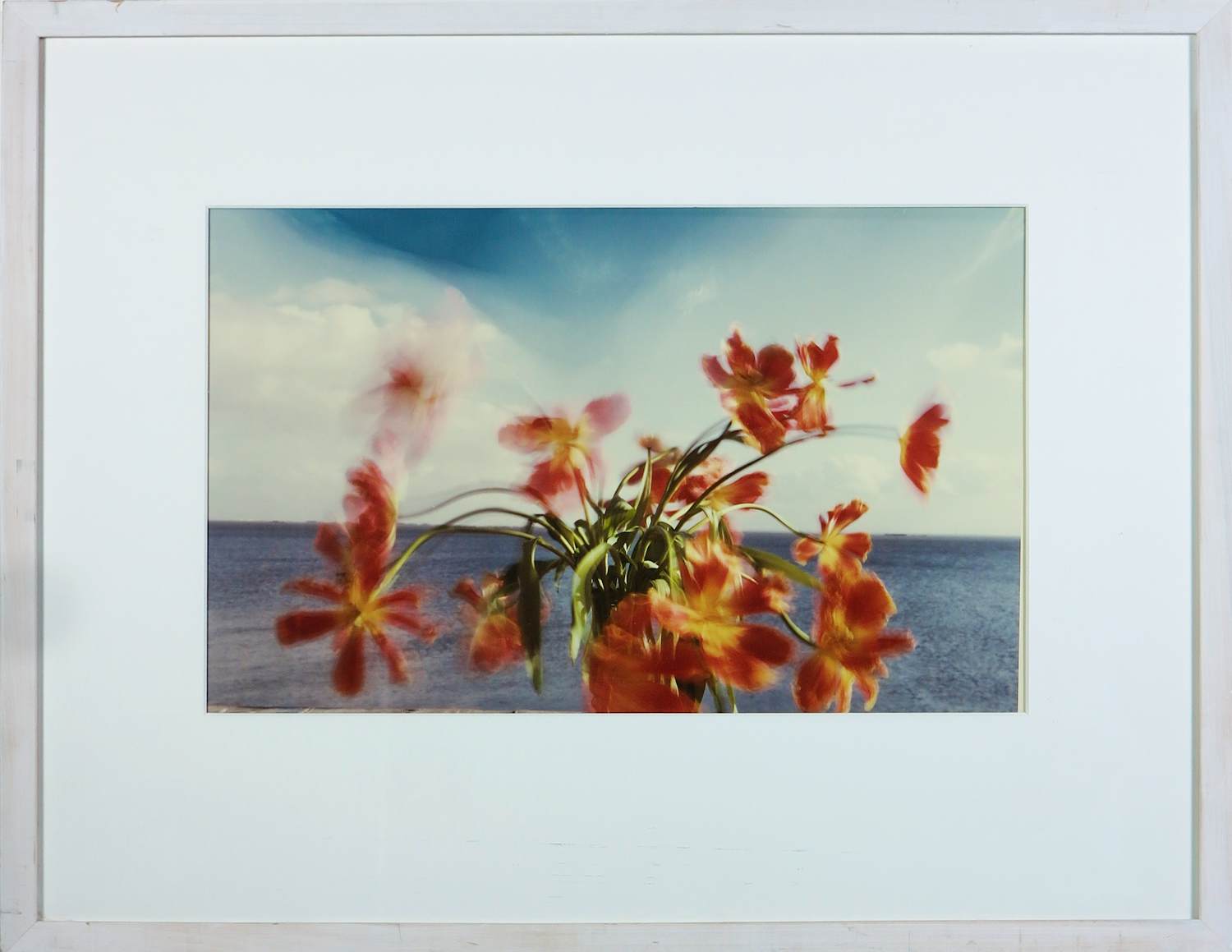 Wout Berger - Foto, Tulpen - Ingelijst kopen? Bied vanaf 250!