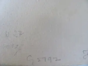 Marius Bauer - Skutari Moskee kopen? Bied vanaf 50!