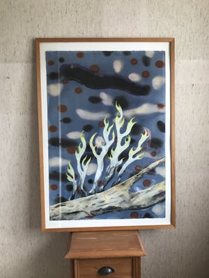 Mareike Geys - Geweizwammen kopen? Bied vanaf 30!