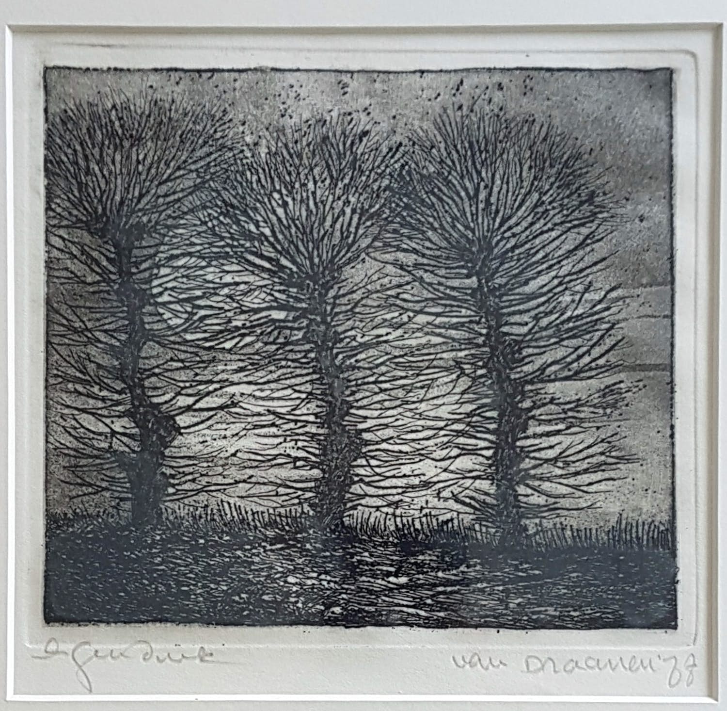 Hans van Draanen - DRIE BOMEN ETS 1977 BERGEN kopen? Bied vanaf 1!