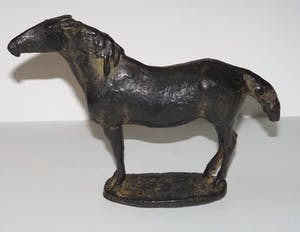 Floyd Tennison Dewitt - Paard kopen? Bied vanaf 850!