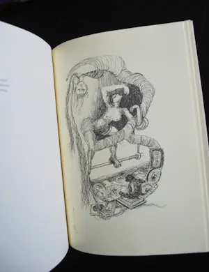 Leo Schatz - 2 boeken, 1x genummerd kopen? Bied vanaf 50!