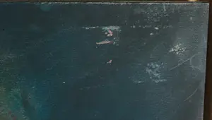 Lieuwe Smid - Olieverf op paneel, Isabella - Ingelijst kopen? Bied vanaf 100!