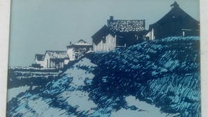 Leo Kools - Ierland duinenkust kopen? Bied vanaf 19!