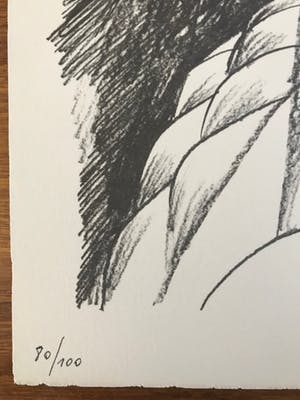 Hugo Claus - Mooie litho - gesigneerd - 1978 - 80/100 kopen? Bied vanaf 75!