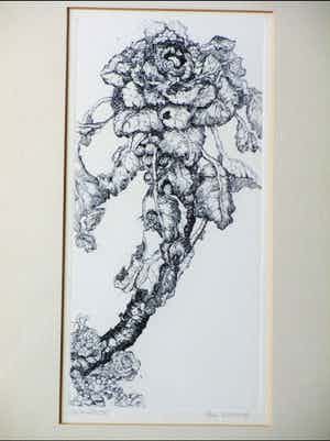 Gea Karhof - Spruitkool - Ets verkocht voor € 35!