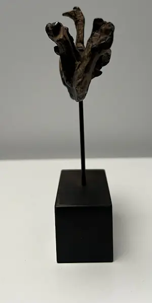 Bernadette Leijdekkers - Bronzen sculptuur | Wilde zwanen kopen? Bied vanaf 90!