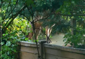 Robert Barry - 20 items uit de serie point d'ironie kopen? Bied vanaf 1!