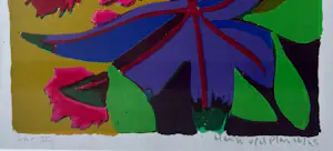 Henk van der Plas - Sur II kopen? Bied vanaf 55!