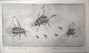 Hans van Dokkum - gesigneerde ets kopen? Bied vanaf 35!