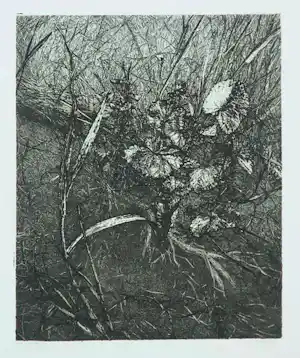 Reinder Homan - Ets, Zonder titel vendu pour 80€ !
