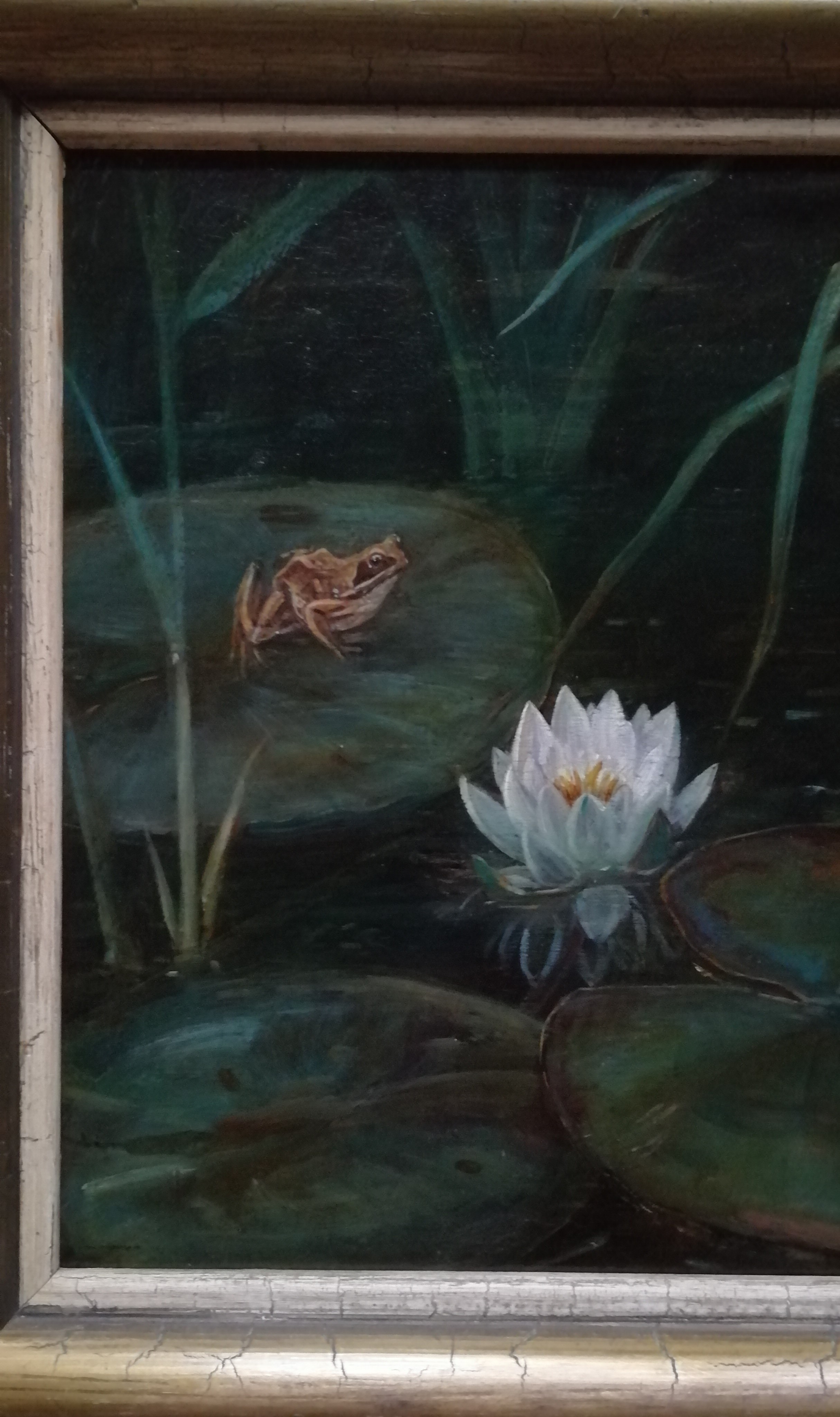 Jan van Oort - Kikker bij bloeiende waterlelie tussen het riet kopen? Bied vanaf 475!