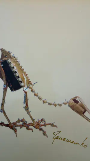 Panamarenko - Archaeopterix kopen? Bied vanaf 400!