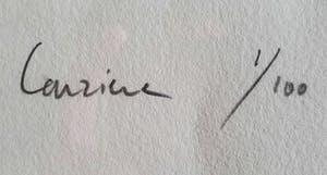 Rob Scholte - Carrière (groot formaat zeefdruk, fraai gelijst) kopen? Bied vanaf 200!