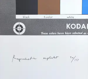 Rob Scholte - Reproductie verplicht, zeefdruk (groot!) kopen? Bied vanaf 195!