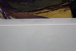 Hans Vredegoor - ingelijste ets: open up - 1988 kopen? Bied vanaf 35!