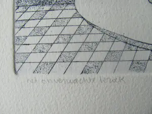 Carla Kleekamp - het onverwachte bezoek kopen? Bied vanaf 60!