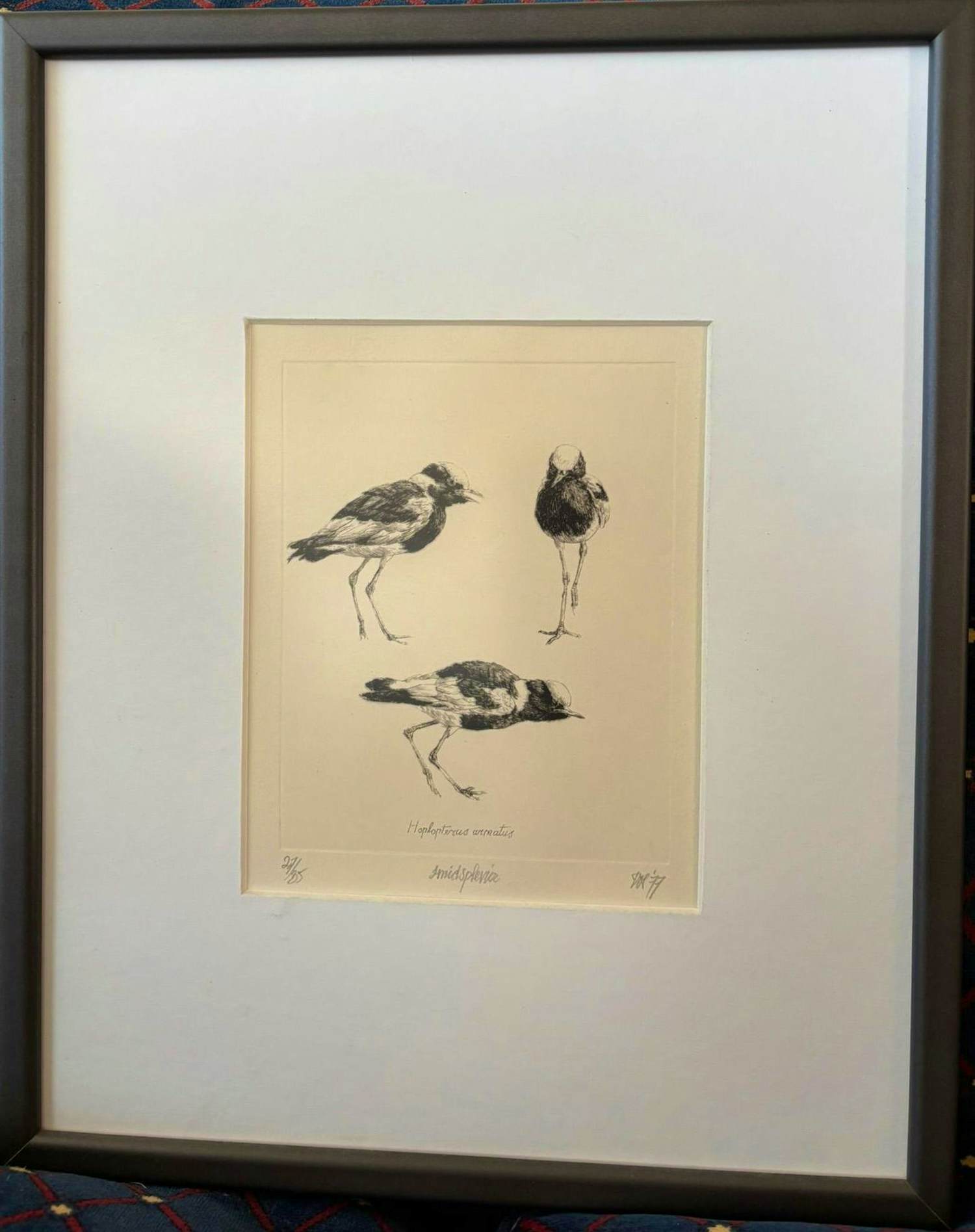 Peter Vos - Smidsplavier kopen? Bied vanaf 150!