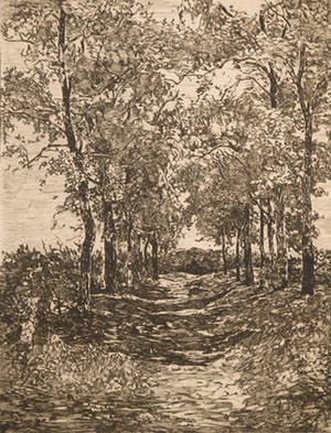 Willem de Zwart - Ets, Z.T. Pad met bomen kopen? Bied vanaf 20!