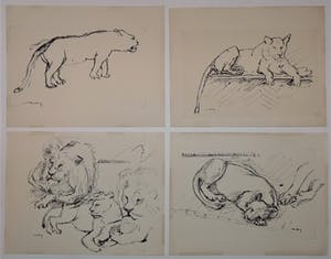 Wim Motz - 4 tekeningen van leeuwen/leeuwinnen kopen? Bied vanaf 45!