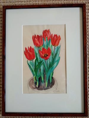 Alberta Johanna Meijer-Smetz - tulpen in pot kopen? Bied vanaf 1!