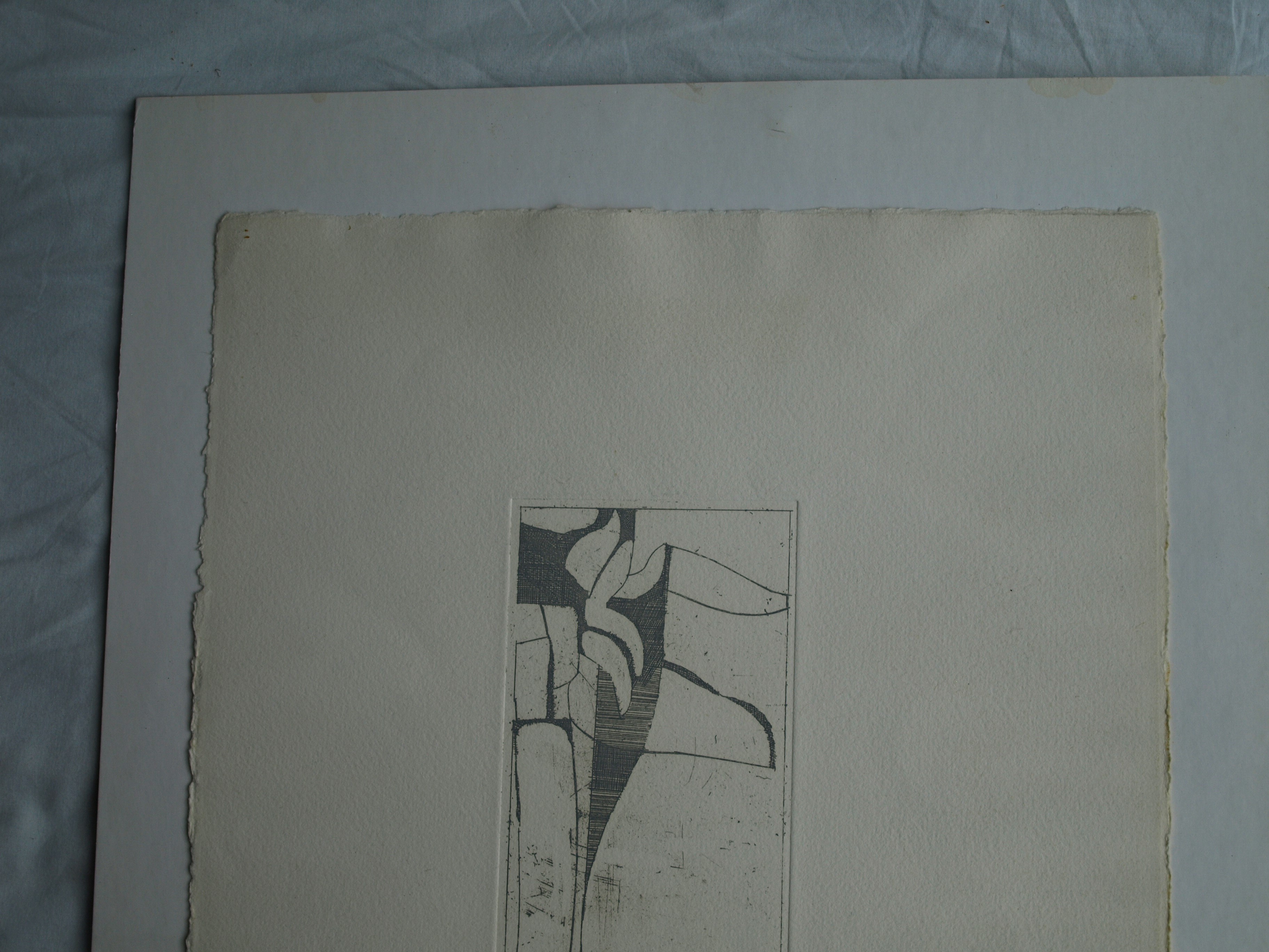 Jan de Hamer - Ets, Palm – gesigneerd – ca 1975 kopen? Bied vanaf 1!