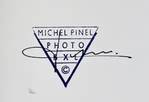 Michel Pinel - Die Zebra-Frau – 2004 kopen? Bied vanaf 60!