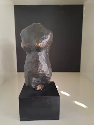 Susanne den Hoed - Torso man en vrouw kopen? Bied vanaf 120!