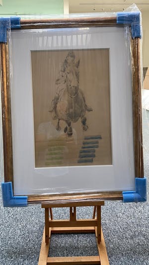 Cole Morgan - Grey Band kopen? Bied vanaf 250!