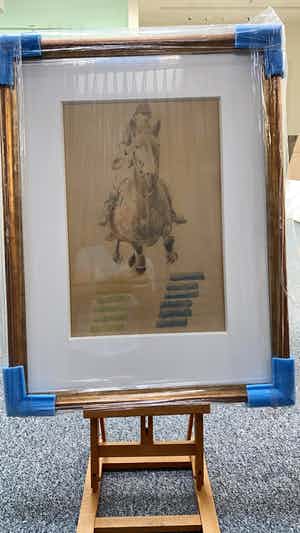 Cole Morgan - Grey Band verkocht voor € 250!