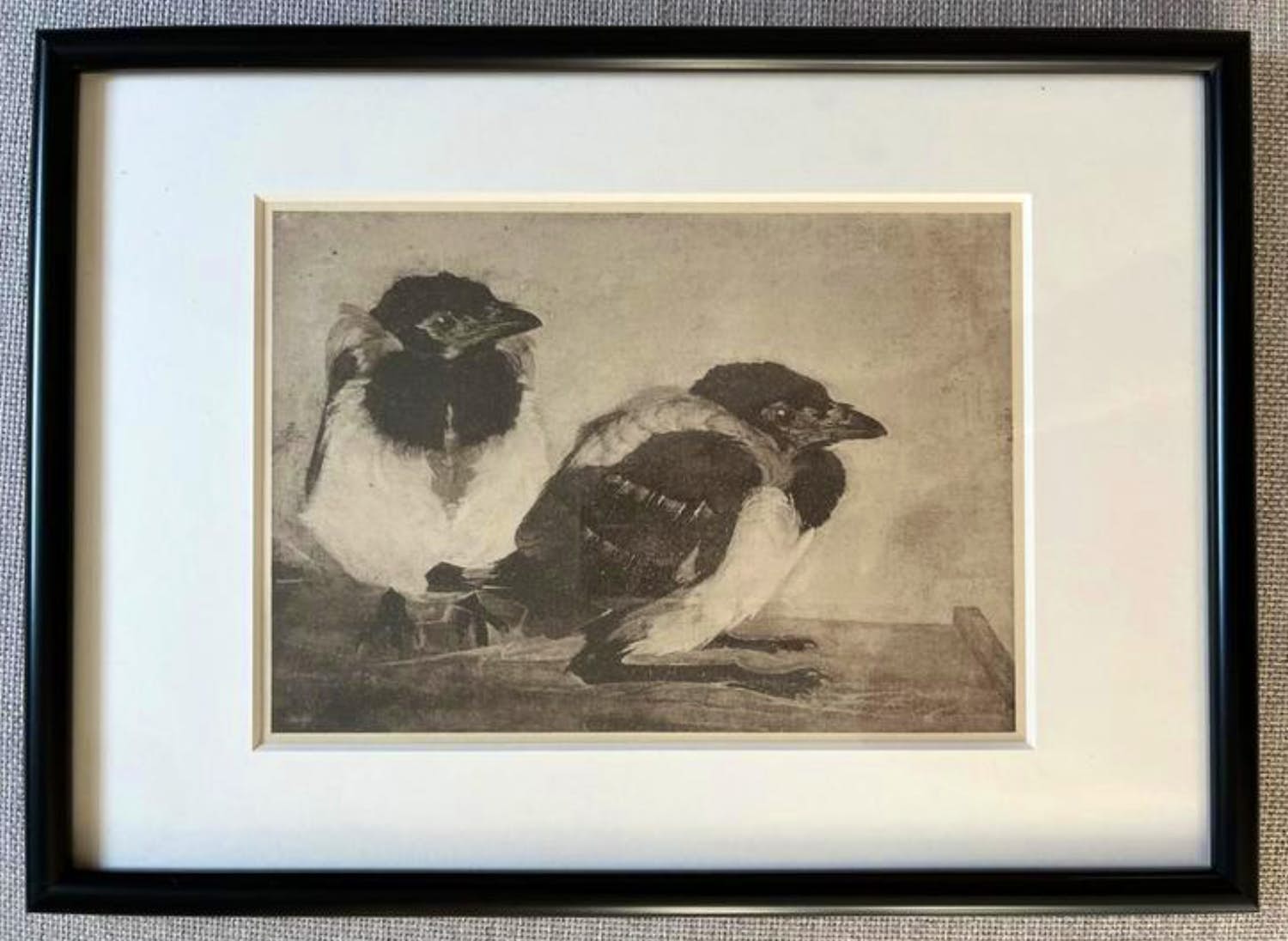 Jan Mankes - Originele Heliogravure - 2 Jonge Eksters 1923 kopen? Bied vanaf 120!