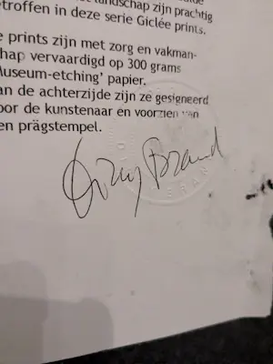 Dicky Brand - AMELAND kopen? Bied vanaf 20!