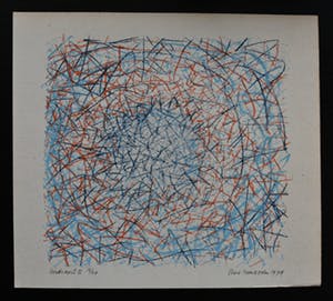 Theo Tomassen - # BIRDSNEST II # 1979, oplage 20, genummerd/gesigneerd, mint- kopen? Bied vanaf 35!