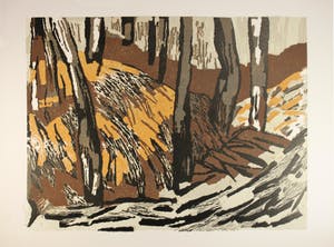 Annemieke Harkema - Bomen in het bos kopen? Bied vanaf 10!