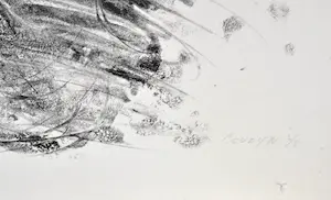 Wessel Couzijn - zeldzame zwart wit lithografie kopen? Bied vanaf 20!