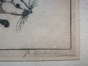 Jan Mankes - Witte muis. kopen? Bied vanaf 20!