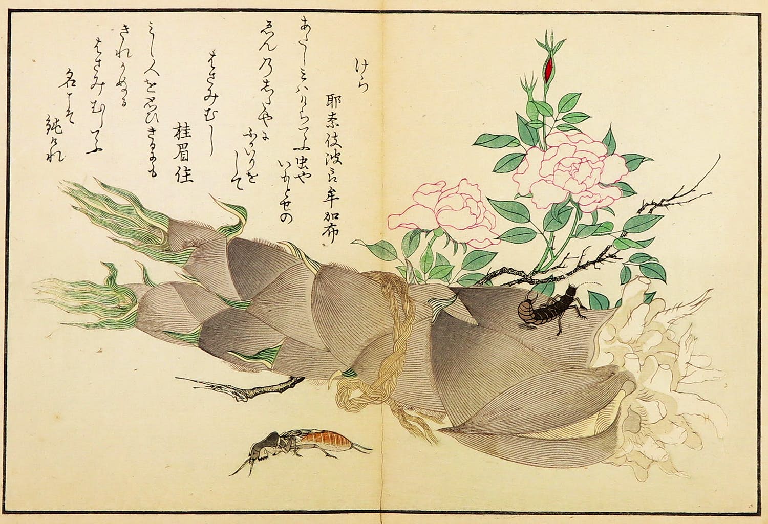 Kitagawa Utamaro - Houtdruk, Insecten bij bamboespruit met roze bloemen kopen? Bied vanaf 35!
