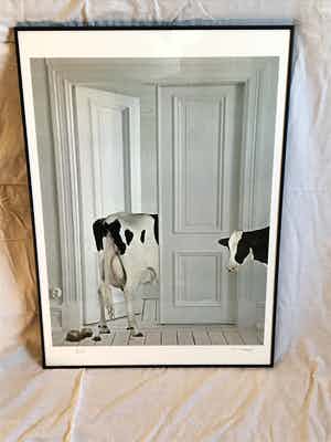 Mr. Strange - Koe in het appartement verkocht voor € 175!