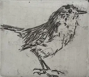 Ad Koomans - handgesigneerde ets | 'Winterkoninkje 1e staat' | 2003 kaufen? Bieten Sie von 60!